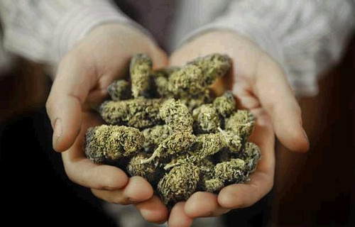 Bilder-Thread tNpS5J4 weed420adorablealternativemedicineartbak