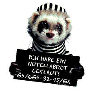 Frettchen 000 kl