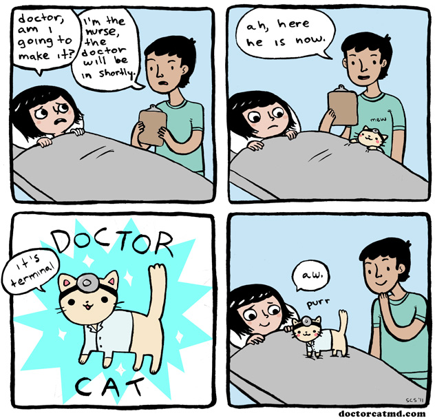 Bilder-Thread tNsFfcQ 2011-01-10-doctor-cat