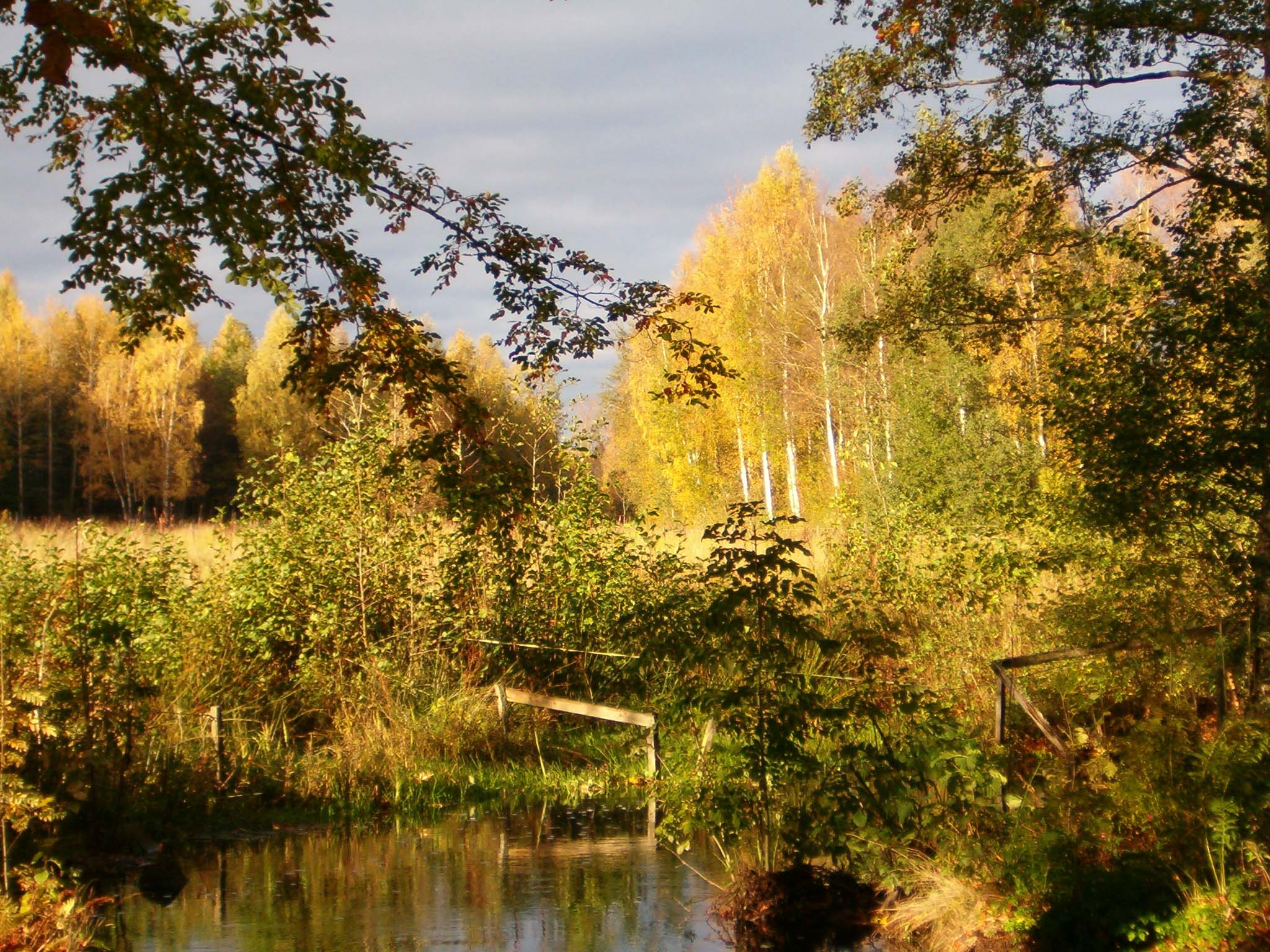 Bilder-Thread tOA45we 1 natur stor