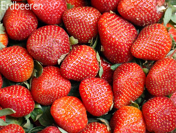 erdbeeren