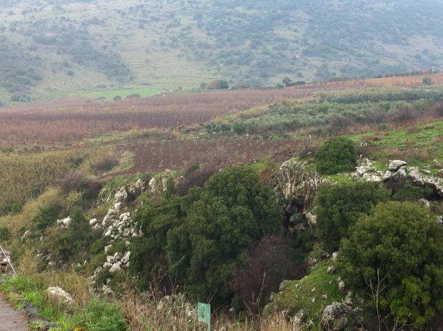 Bilder-Thread tOFKZLY kHgmV6 422677 346842165359059 1253428308
