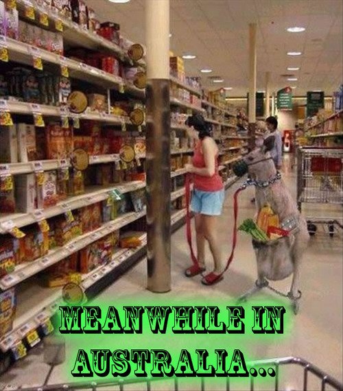 Bilder-Thread tOFR1o3 australien