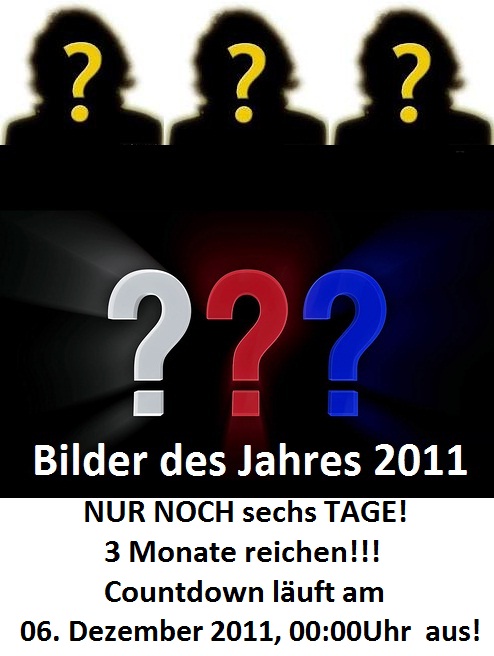 bilderdesjahres1