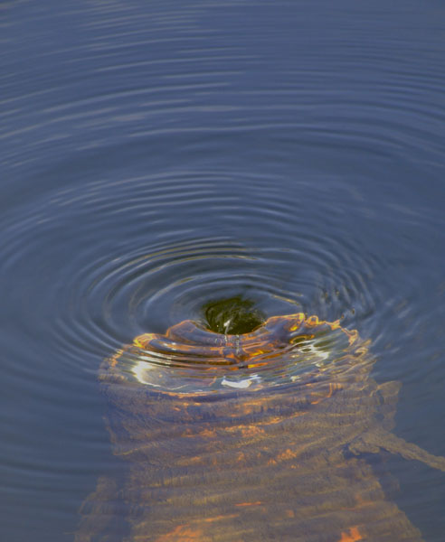 Teich - Wasserabfluss