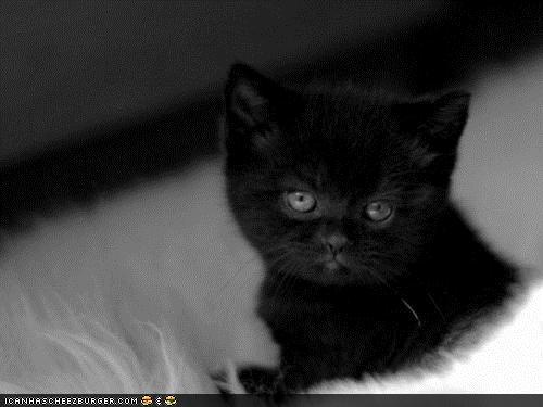 Bilder-Thread tPCrJTl 0f32b360-7310-49ea-91f0-a4b7831d163d