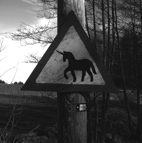 Bilder-Thread tPEVywv qKzbxt tumblr li58zgkgnZ1qcqxldo1 500