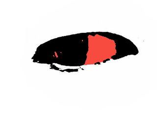 Bilder-Thread tPLNBlA 93b30fea30104e21336d96016dd77112e29975ac