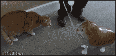 Bilder-Thread tPX9zLd tumblr lqsjen3MEH1qdlh1io1 400