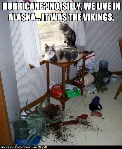 Bilder-Thread tPdCKfm funny-pictures-hurricane-no-silly-we-liv