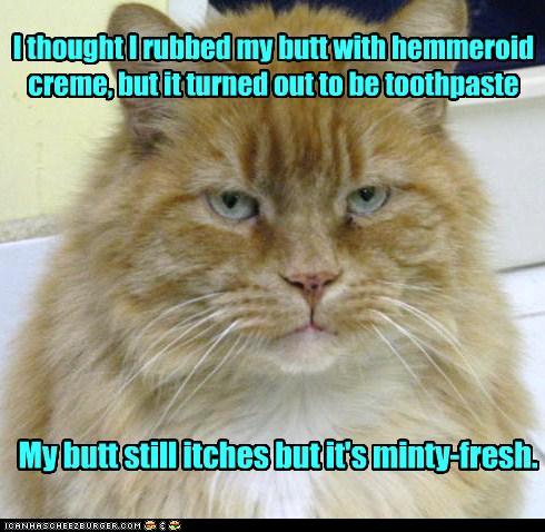Bilder-Thread tPrKh1g funny-pictures-i-thought-i-rubbed-my-but