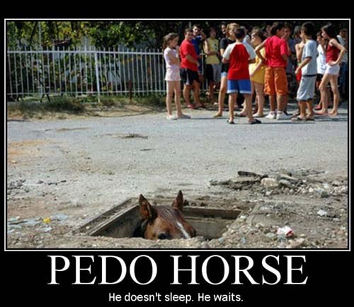 OwJ4K8 pedo-horse