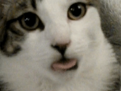 Bilder-Thread tQUuhkM tumblr lkjwvtp4mL1qchevd