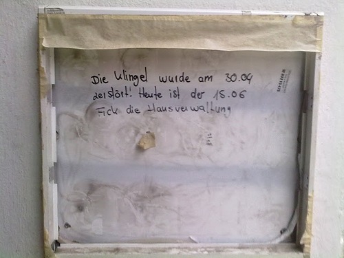 Bilder-Thread tQy6TbK 2874 b674 500.jpeg