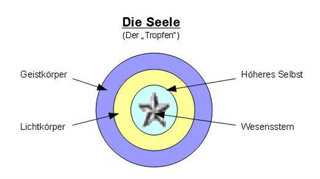 seele-1