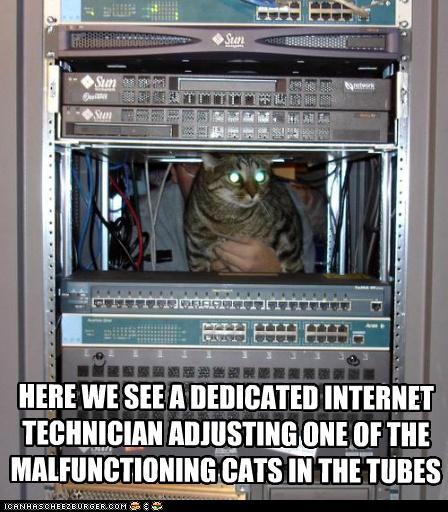 Bilder-Thread tRIvAy6 funny-pictures-its-a-thankless-never-end