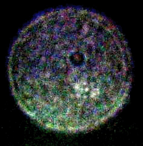 orb