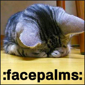 uh654101283268797facepalm cat