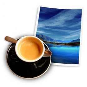 8NE8UA jamaica-blue-mountain-kaffee