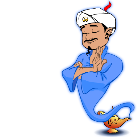 akinator 9 confiant