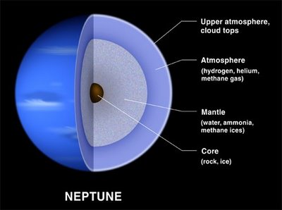 Neptune Int-browse