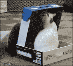 Bilder-Thread tSPcfoY 06b0c3b20d0413ce4d8fe847c18f029e8c9e4442