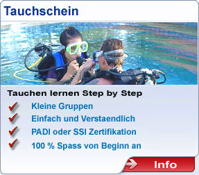 infoboxtauchschein2