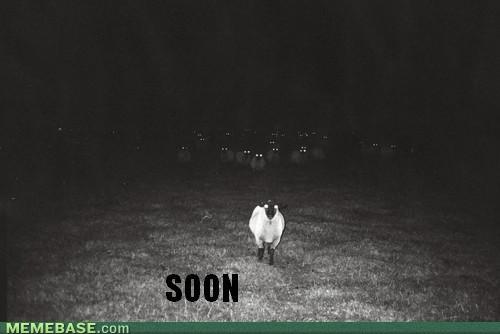 Bilder-Thread tSTP4Sx memes-soon