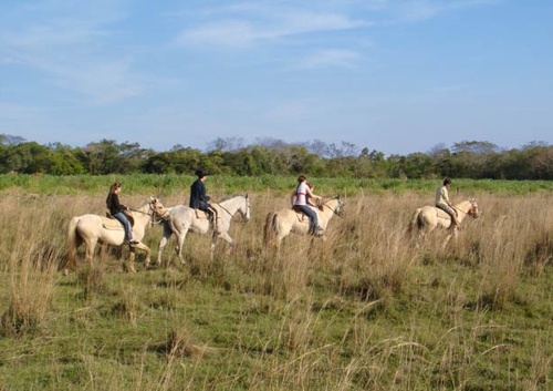 caballo-paraguay