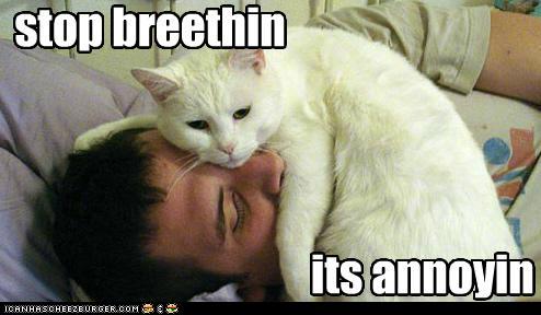 Bilder-Thread tSuBZL2 funny-pictures-nappy-face