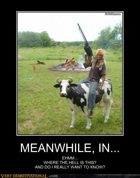 Bilder-Thread tTIMrHg demotivational-posters-meanwhile-in