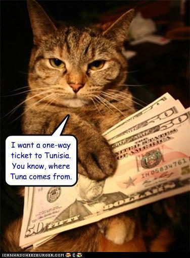 Bilder-Thread tTLbTVJ funny-pictures-i-want-a-one-way-ticket-t