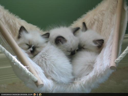 Bilder-Thread tTpELJr 48291a32-b26f-4a6a-8408-44fb16d65c9d