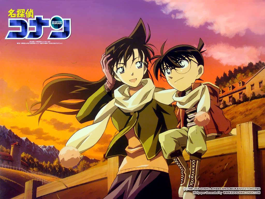 detective-conan-ran-mouri-8