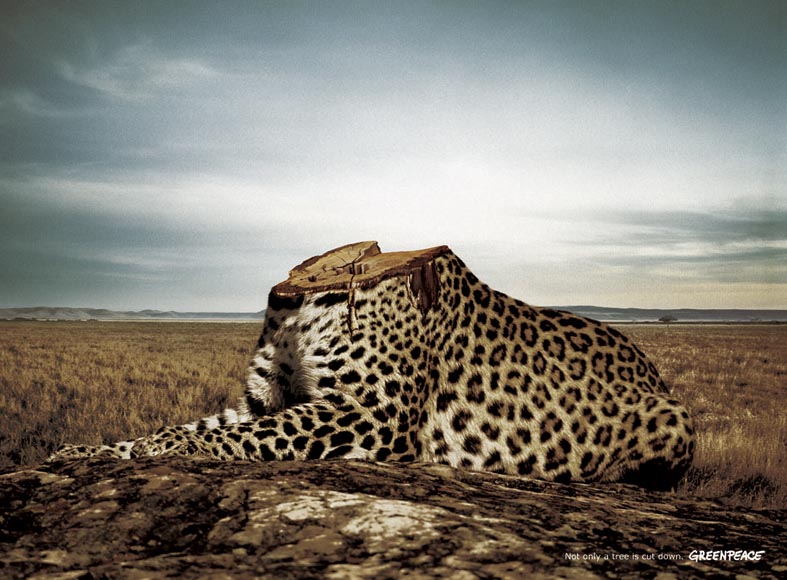 Bilder-Thread tU73m34 sammtZ greenpeace1