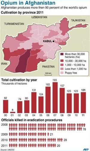 graph increase poppy cultivation