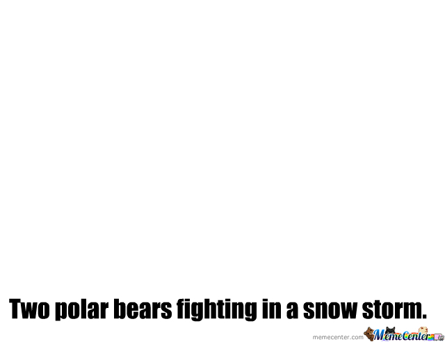 Bilder-Thread tV2IXbF 18LjbG two-polar-bears-fighting-in-a-sno