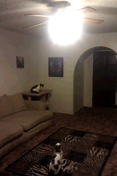 Bilder-Thread tV2kpBF fDmwCO tumblr m1fauxHSS01qgykbzo1 500