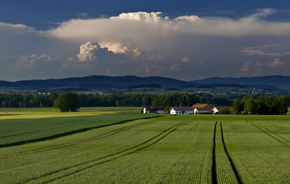 Bilder-Thread tVYZw40 Tzy07n