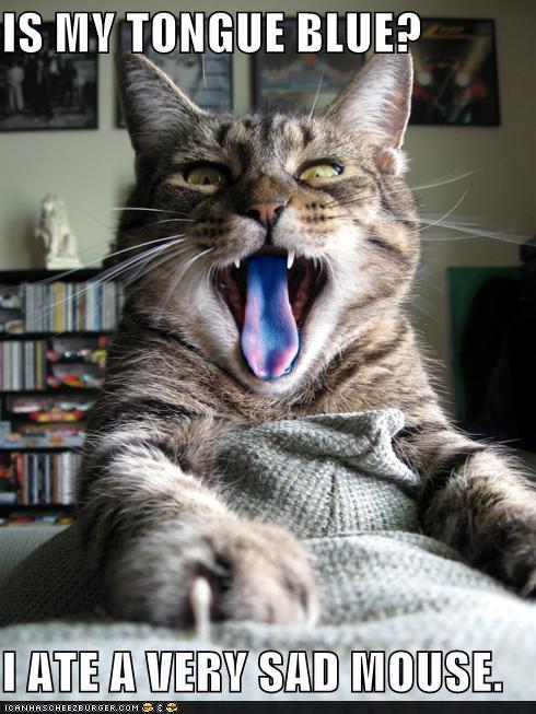 Bilder-Thread tVfHYSg funny-pictures-is-my-tongue-blue-i-ate-a
