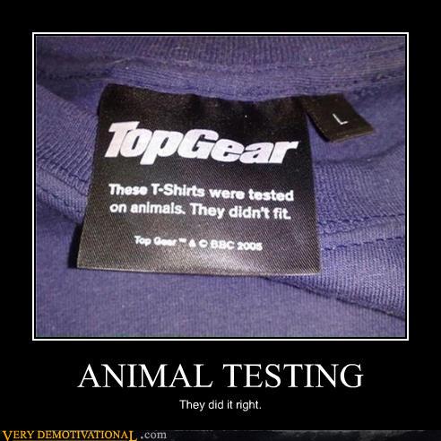 Bilder-Thread tWFuaLq uh430481288072482demotivational-posters-