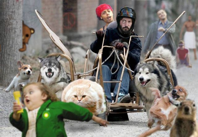 Bilder-Thread tWIAIvQ RExPuo 0h