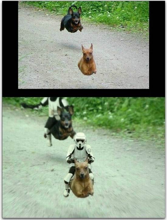 Bilder-Thread tWNny0e Daily-Morning-Epicness-No.5 18