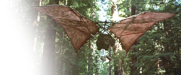 ewokglider