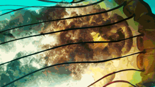 Bilder-Thread tWllkYO 2165 9e09