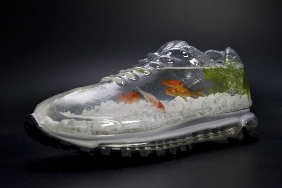 Bilder-Thread tWuAcQ9 aquarium-sneakers