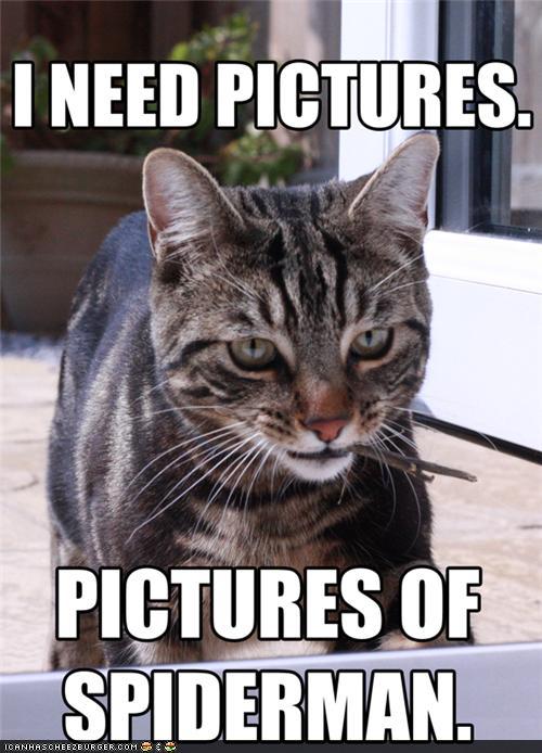 Bilder-Thread tX24RN6 funny-pictures-untitled