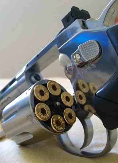 sjxnQV Dan Wesson Silver Bullets