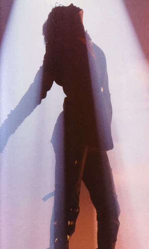 MICHAEL-michael-jackson-16913120-299-500