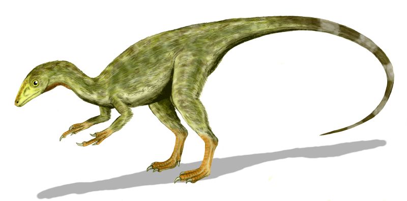 compsognathus